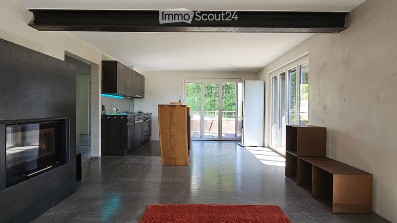 Modern open-plan living and kitchen area with a fireplace, kitchen cabinets, a refrigerator, a wooden table, a bench, and a red rug.