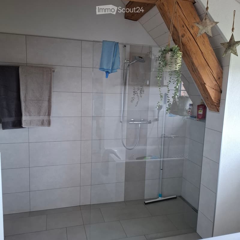 Bathroom. Modern bathroom with a glass-enclosed shower, tiled walls, and a hanging potted plant. Towels are neatly placed on a rack, and a shower head with a hose is mounted on the wall.
