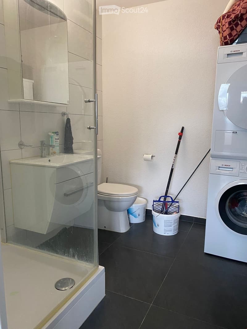 Modern bathroom with a glass-enclosed shower, sink, toilet, and a Bosch washing machine. Includes a mop, bucket, and towel.