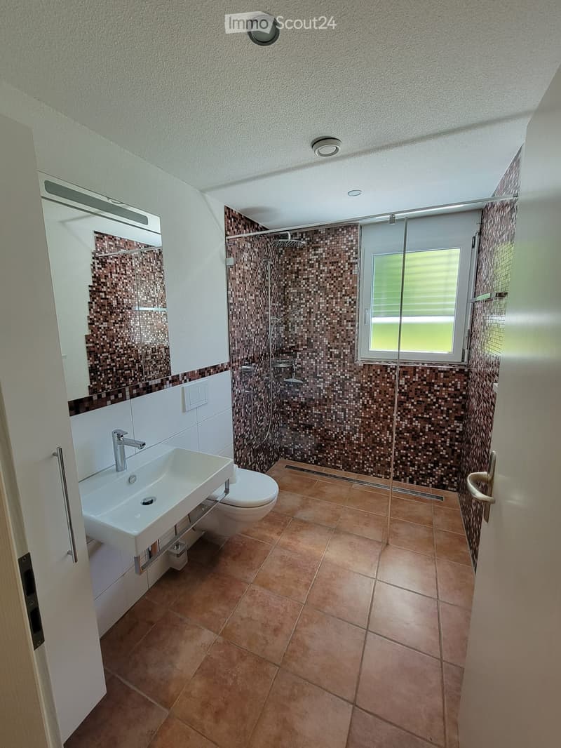 Modern bathroom with a white sink, chrome faucet, toilet, and a glass-enclosed shower with mosaic tiles. The floor is tiled in warm brown tones, and the walls feature a combination of white and mosaic tiles.