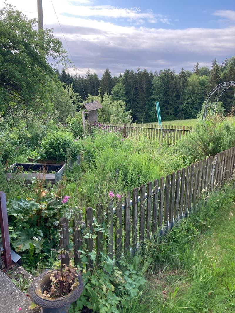 A lush garden area enclosed by a wooden fence, featuring various plants, flowers, and a birdhouse in the background, with a clear view of a forested area beyond.