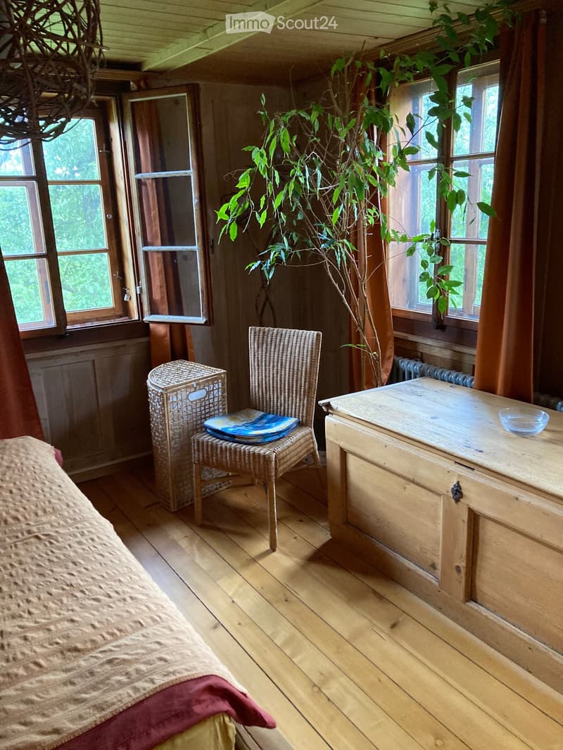 Cozy wooden bedroom with a bed, wicker chair, small table, and a large leafy plant near the window.
