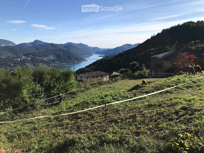 Mountainous landscape with a lake, small houses, grassy field, and grazing animals