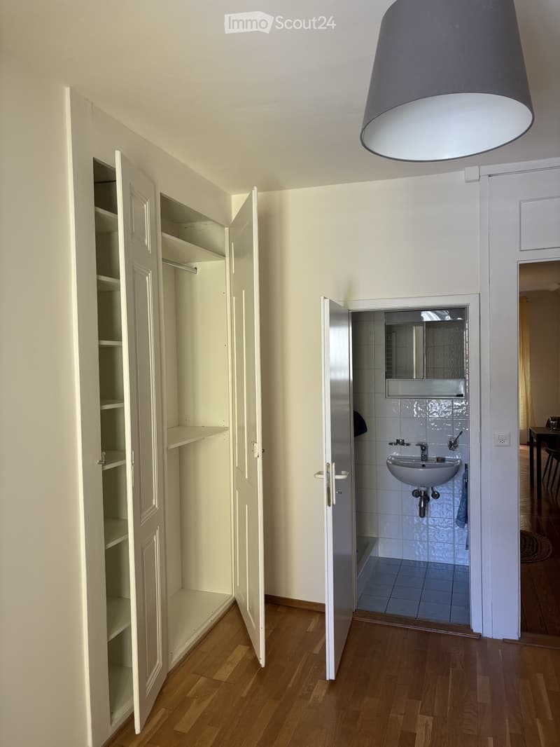 Empty room with wooden flooring, open closet with empty shelves, and an adjacent small bathroom with a sink and mirror.