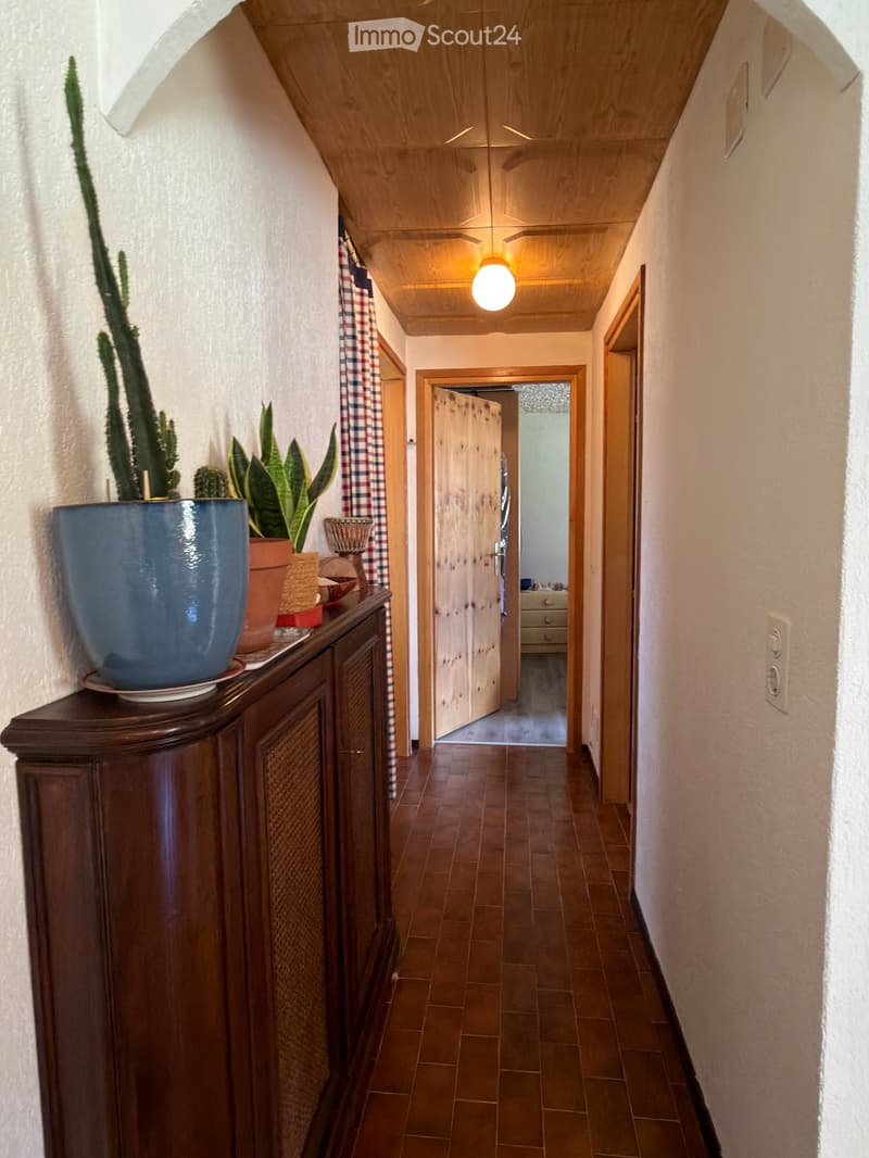 A narrow hallway with wooden ceiling, terracotta tiled floor, and a small wooden cabinet with potted plants on top. The hallway leads to an open door revealing a room beyond.