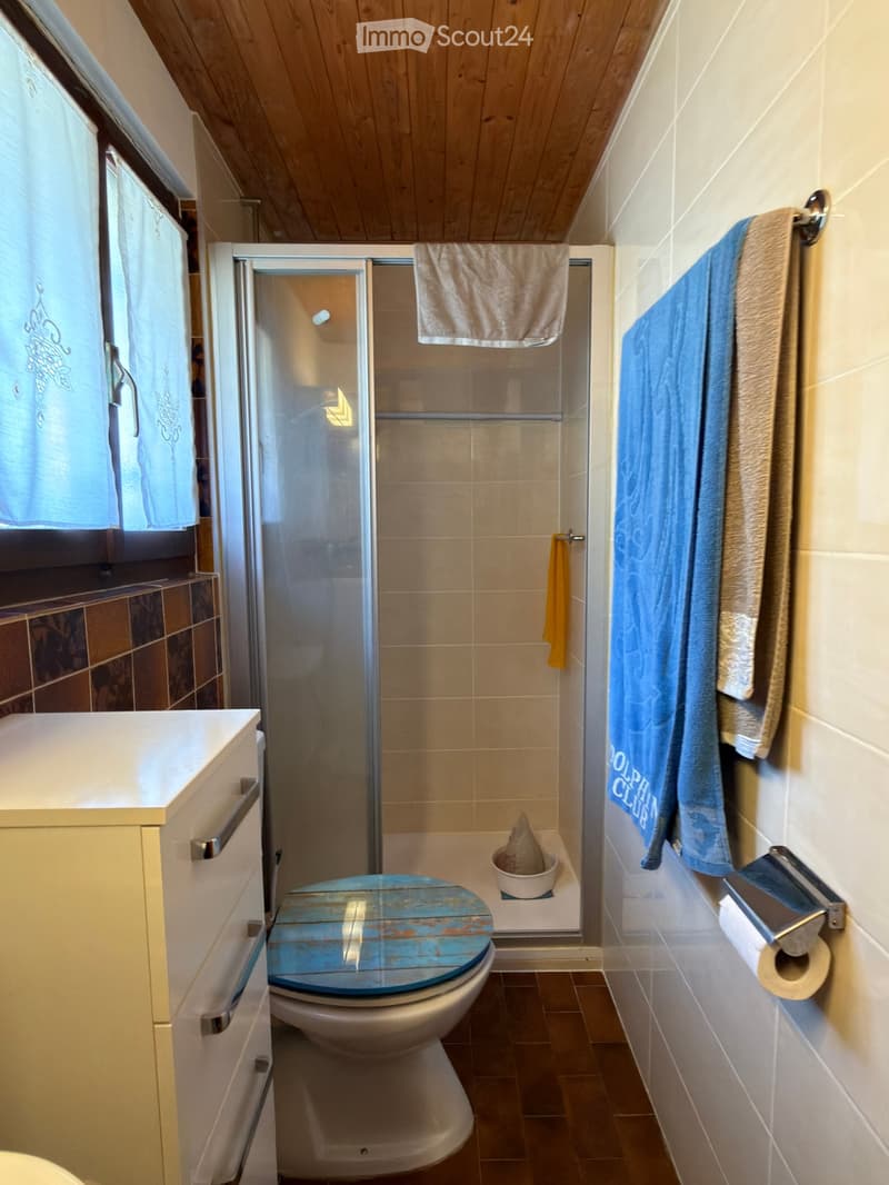 Bathroom with a toilet, shower, cabinet, towels, and a small stool. The toilet seat has a blue wooden cover, and the shower has a glass door.