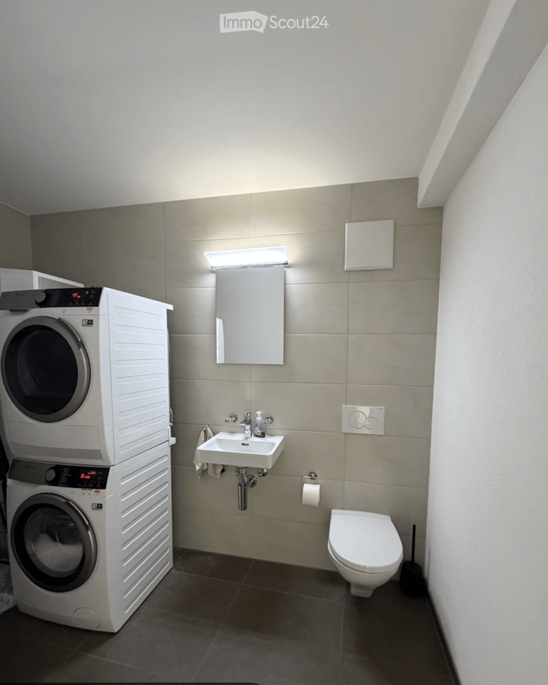 Helle 2.5 Zimmer Wohnung Nähe Bahnhof Olten (2)