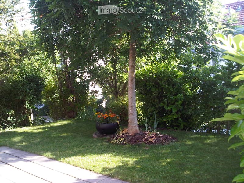 Well-maintained garden with a central tree, surrounding shrubs, and a flower pot with orange flowers. The area features a concrete pathway and a neatly trimmed lawn.