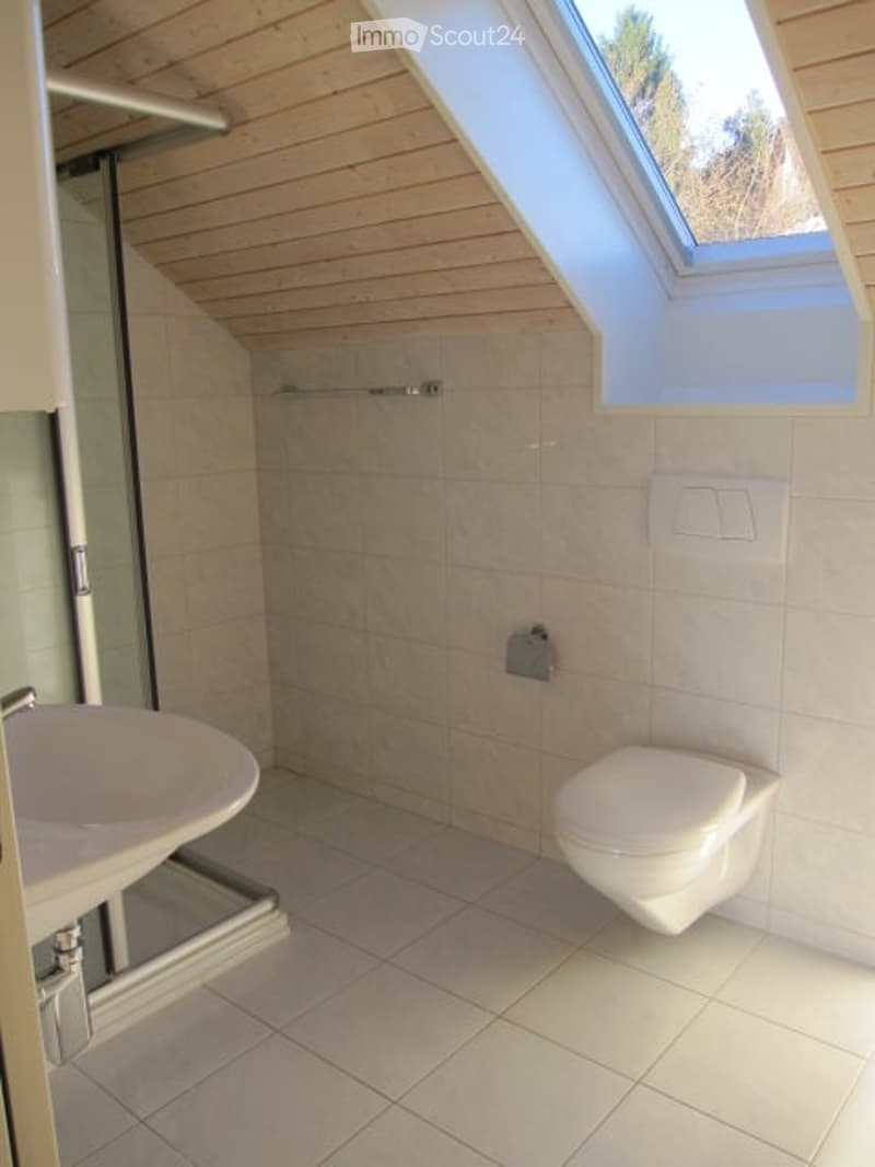 Modern bathroom with white tiles, a skylight window, a sink, and a toilet.