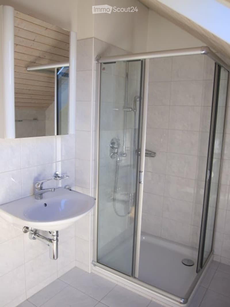 Modern bathroom with a white sink, mirror, and a glass-enclosed shower stall.