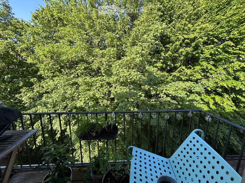 Balcony with metal railing, string lights, potted plants, and a white plastic chair.