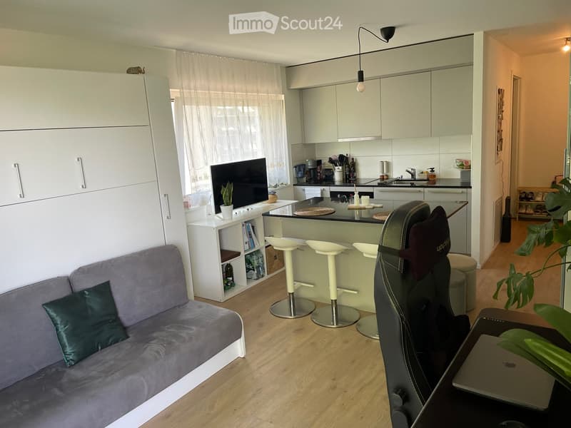 {"type": "Furnished Room", "objects": ["sofa", "stool", "chair", "laptop", "screen", "stool", "stool", "stool", "cabinet", "sink", "faucet", "stool", "stool", "stool", "stool", "stool", "stool", "stool", "stool", "stool", "stool", "stool", "stool", "stool