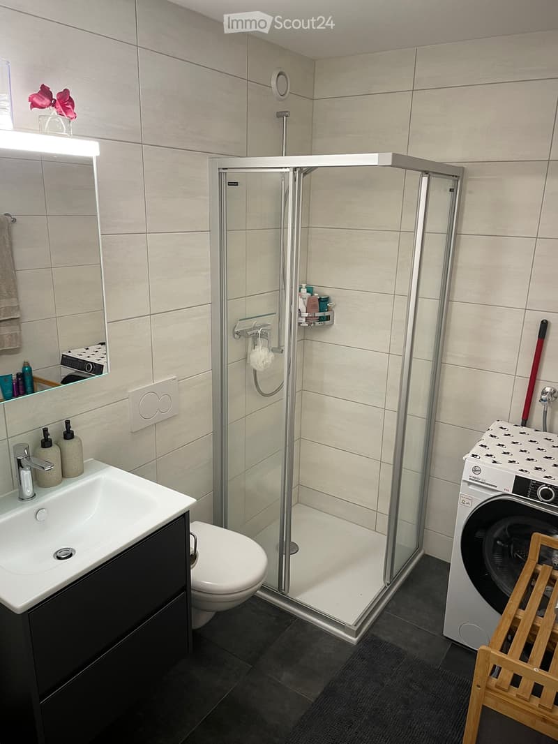 Modern bathroom with a white sink, toilet, glass-enclosed shower, and a private washing machine. Features include a mirror with a built-in light, a towel rack, and decorative flowers on the windowsill.