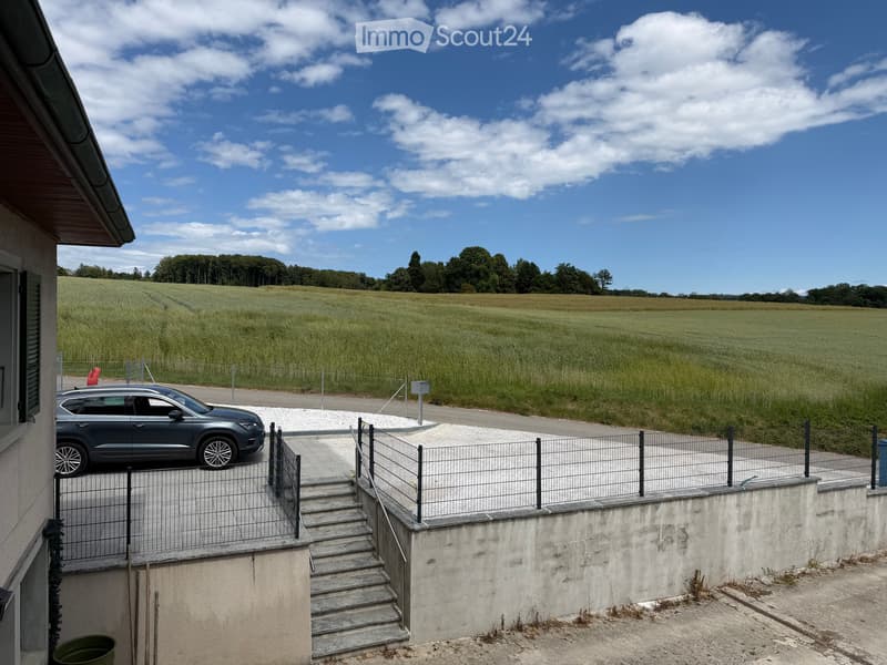 Ampio appartamento mansardato di 5 locali a Villars-Ste-Croix (9)