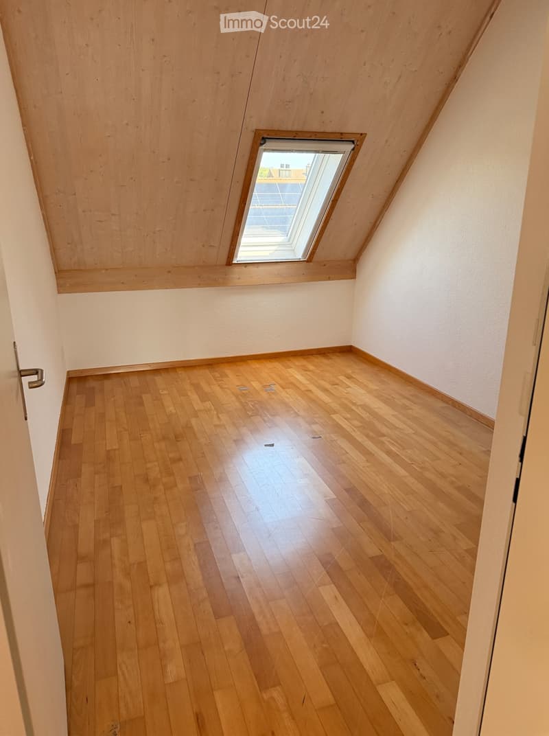 Empty attic room with wooden flooring, white walls, and a skylight window allowing natural light to enter.