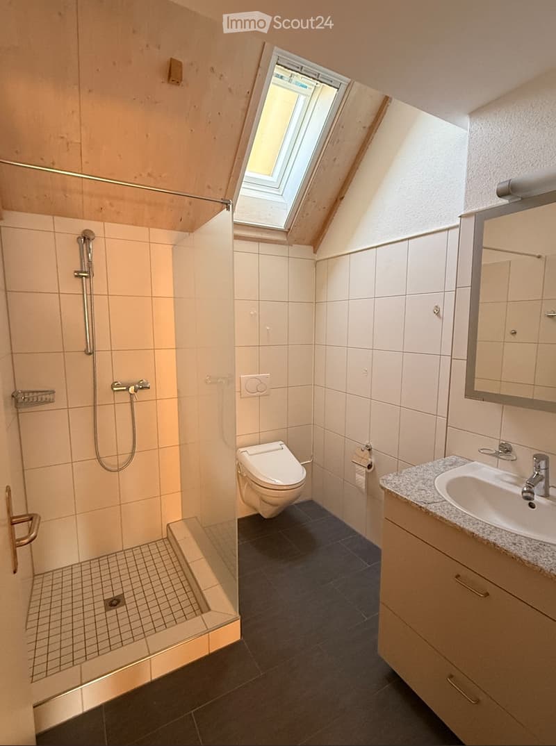 Modern bathroom with a toilet, sink, mirror, and shower. Features a skylight window and tiled walls and floor.