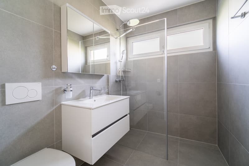 Modern bathroom with a white sink cabinet, mirror, glass shower enclosure, and a toilet. The walls are tiled in gray, and the floor is also tiled in gray.