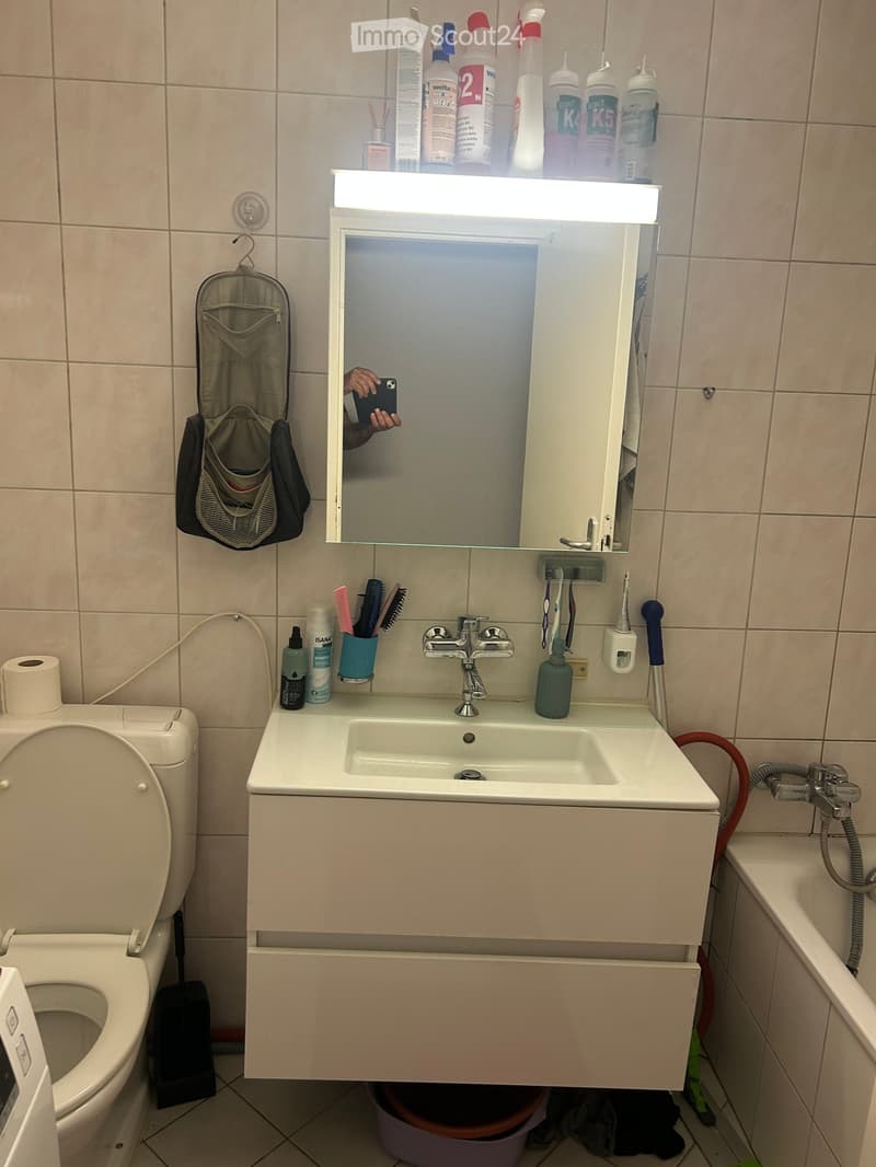 Modern bathroom with a white sink, mirror cabinet, and toilet. Cleaning supplies and toiletries are neatly arranged on the sink counter and in the mirror cabinet.