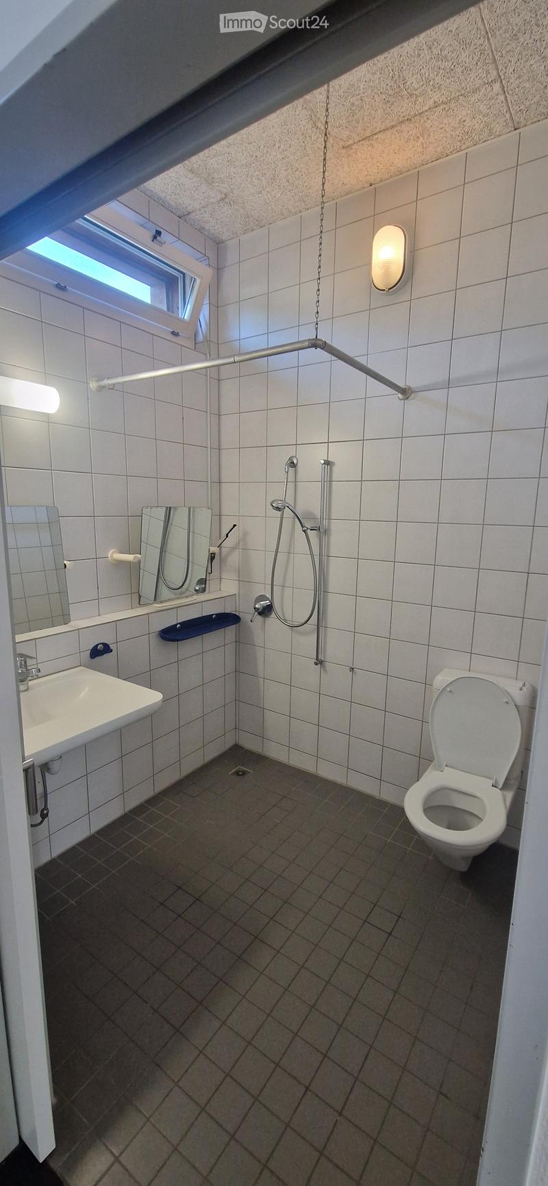 Clean bathroom with white tiled walls and floor, featuring a toilet, sink, mirror, and shower with a handrail.