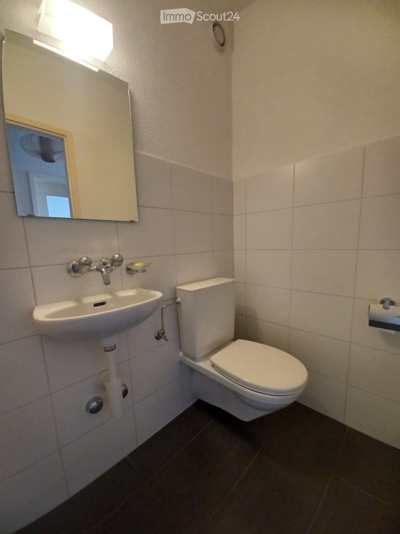 Schönes Apartment in Freiburg mit Panoramablick (8)