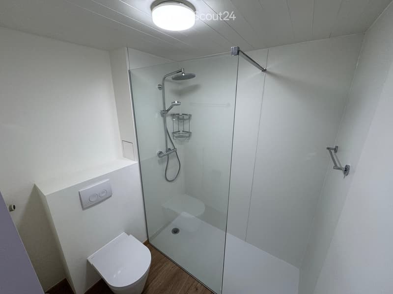 Modern bathroom with a toilet, glass-enclosed shower, and a handheld showerhead with a rail and shelf. The shower area has a sleek, contemporary design with a glass enclosure and a handheld showerhead.