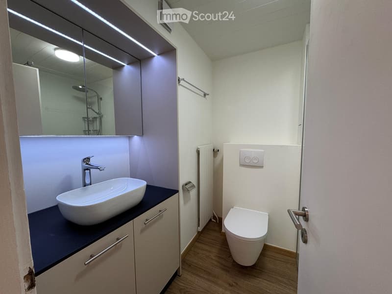 Modern bathroom with a white sink, chrome faucet, large mirror, toilet, and built-in cabinets.