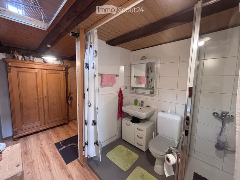 Bathroom with wooden ceiling, sink, toilet, mirror, cabinet, and shower area with a curtain. Green bathmats are placed on the floor.