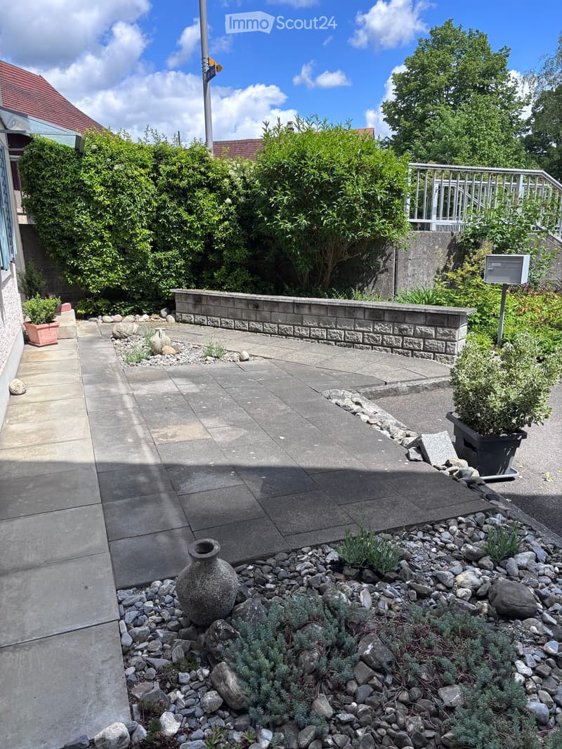 Garden area with concrete pathway, decorative rocks, small plants, and a large ceramic vase.
