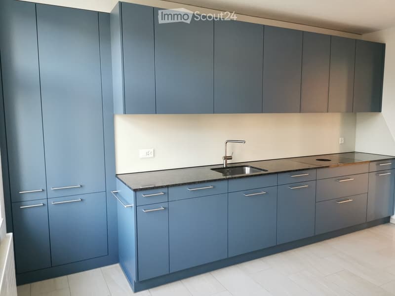 Modern kitchen with blue cabinets, stainless steel sink, and sleek countertops.
