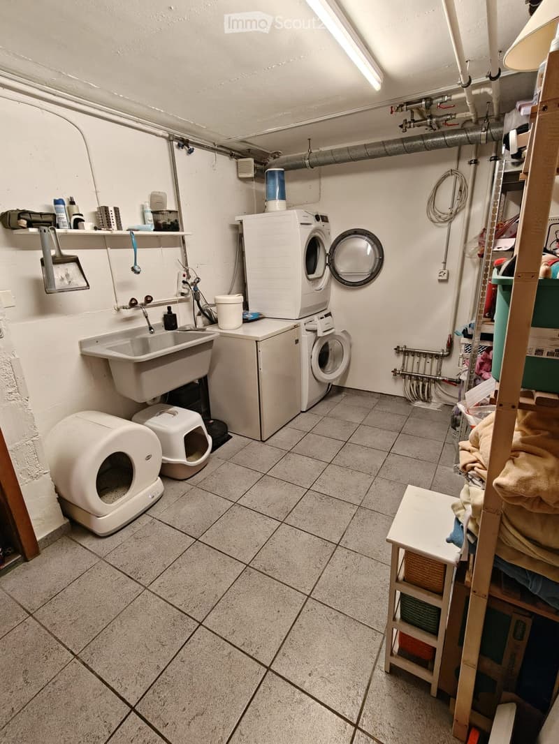 Utility bathroom with tiled floor, white walls, sink, washing machine, dryer, cat litter boxes, and shelves holding cleaning supplies.