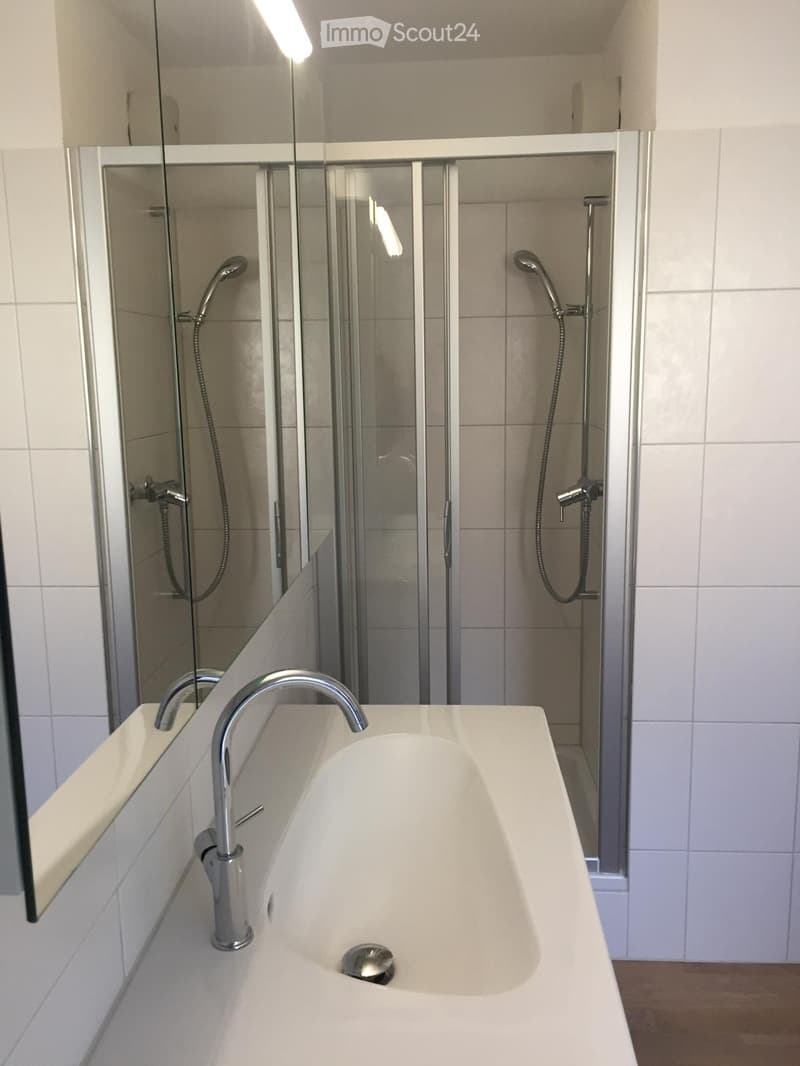 Appartement avec vue sur Oberhofen au lac de Thoune (5)
