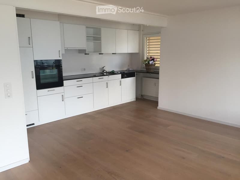 Appartement avec vue sur Oberhofen au lac de Thoune (4)