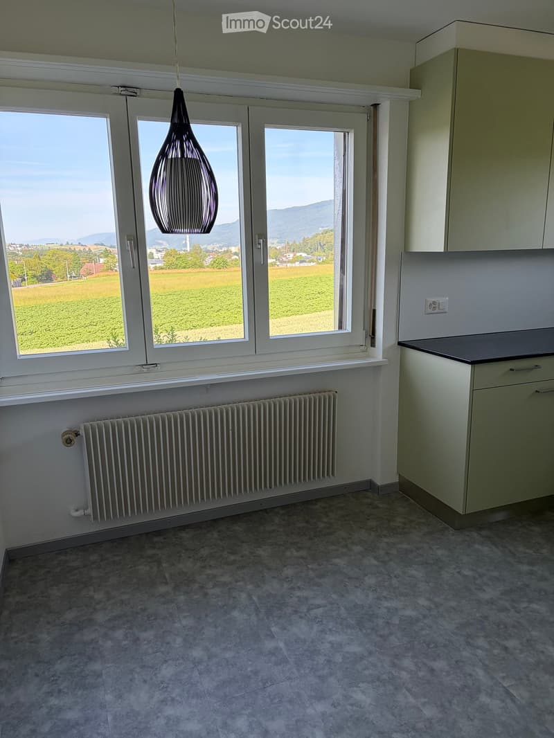 Empty room with large windows offering a scenic view, tiled floor, radiator, and modern cabinetry.