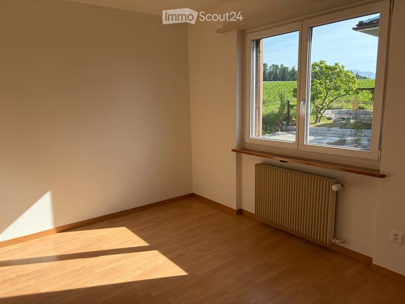 Empty room with wooden flooring, light-colored walls, and a large window offering a view of a garden and vineyard. A radiator is visible under the window.