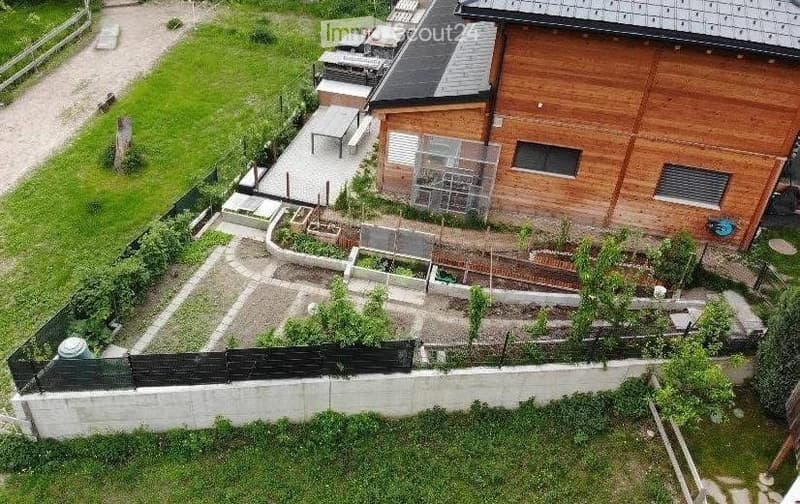 Aerial view of a garden with raised beds, plants, and a wooden house in the background.