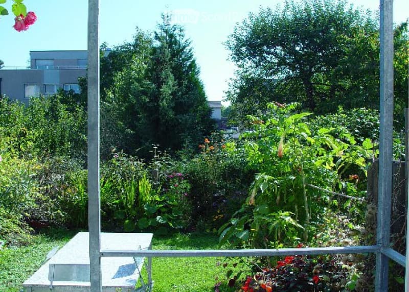 A lush garden area with various plants, flowers, and trees, enclosed by a metal fence. There is a small concrete bench and a visible section of a building in the background.