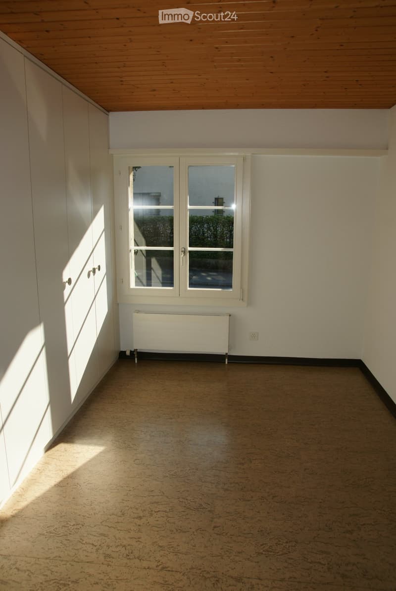 Empty room with light-colored walls, wooden ceiling, and a large window with a view of greenery. Features a radiator and built-in closet with handles.