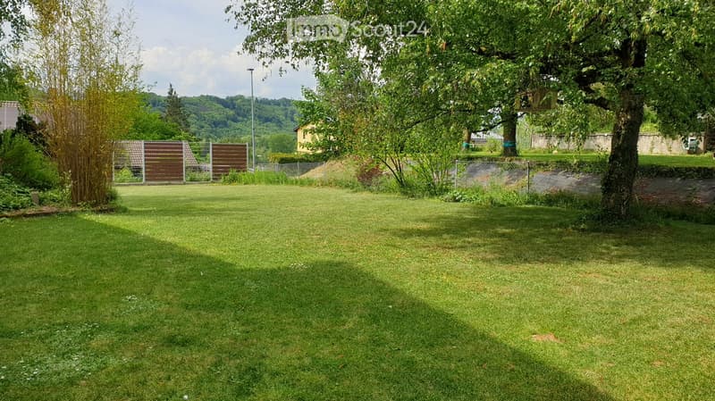 A well-maintained lawn with trees, a wooden fence, and a small shed in the background.