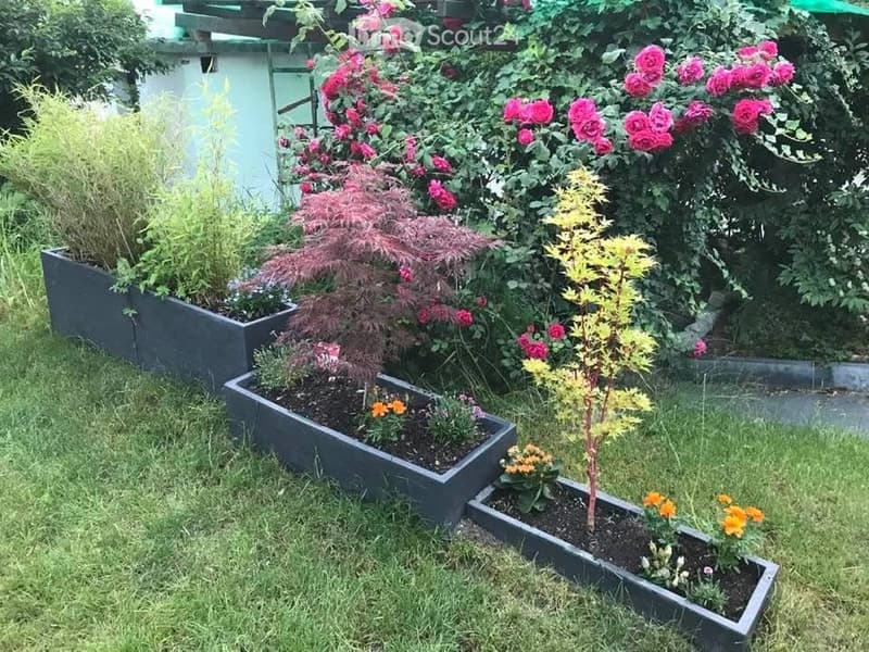 Well-maintained garden with several raised planters containing various plants and flowers, including roses, a Japanese maple, and small shrubs.