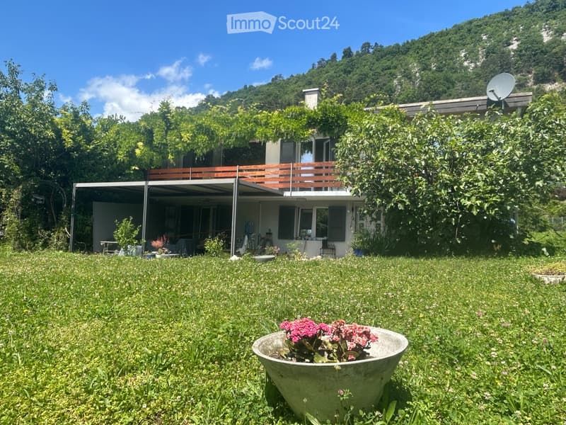 A modern house with a covered patio and balcony, surrounded by lush greenery and a grassy lawn. A large concrete planter with pink flowers is visible in the foreground.