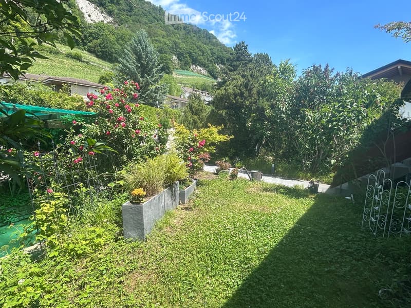 Lush garden with various plants, flowers, and shrubs, featuring a stone pathway and a view of a mountainous landscape in the background.
