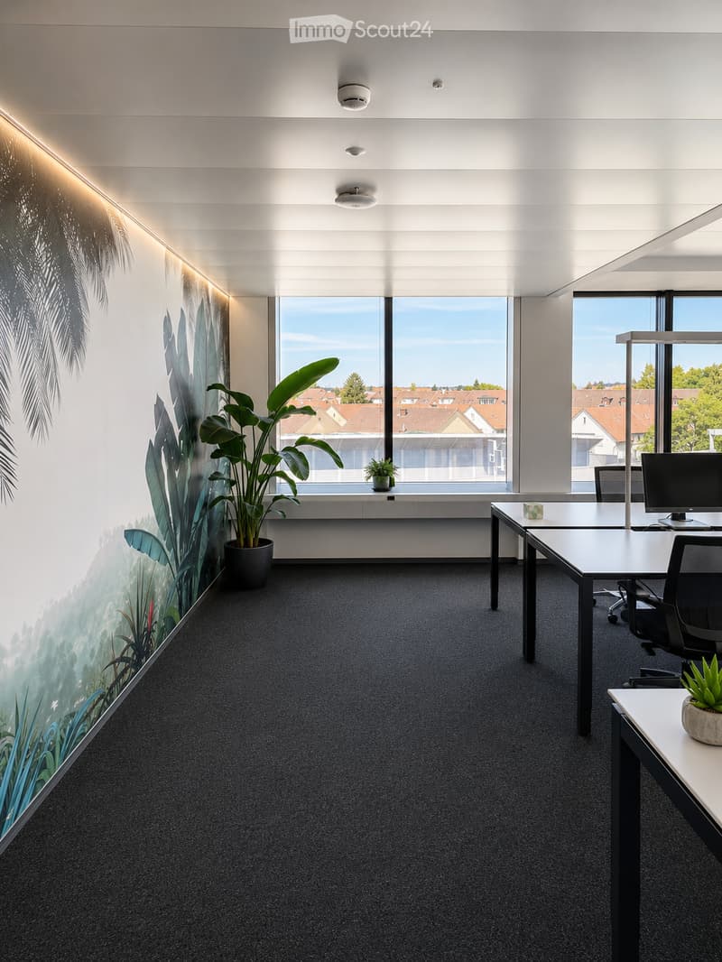 Modern office space with large windows, grey carpet, white walls, and a large leafy plant in a pot. A desk with a computer and chair is positioned near the window, with additional smaller plants on the desk.
