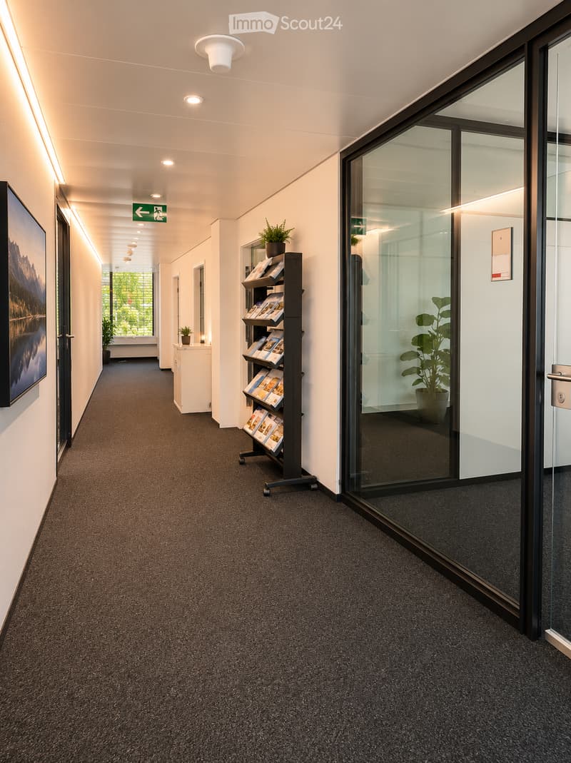 Modern hallway with carpeted floor, white walls, recessed lighting, glass partitions, and a magazine rack with potted plants.