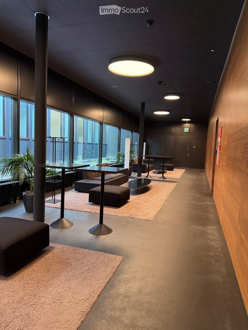 Modern, minimalist lounge area with dark wood accents, grey carpeted seating, and large windows letting in natural light.