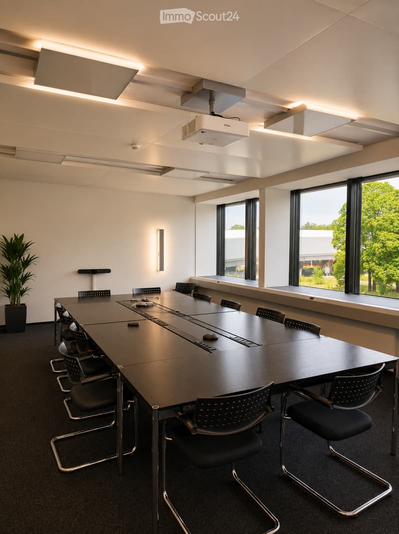 Modern conference room with a long wooden table, black chairs, projector mounted on the ceiling, and a potted plant near the window.