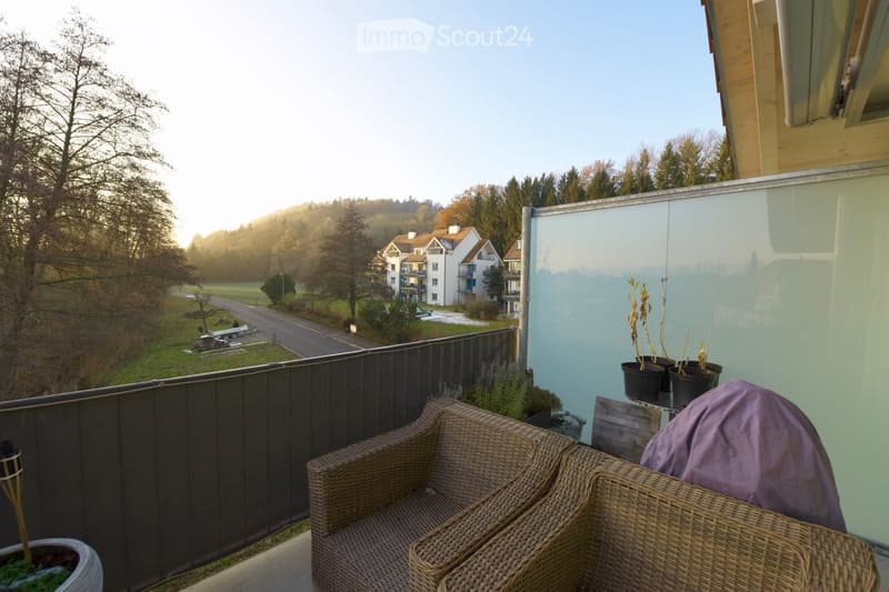 Grande appartamento mansardato con vista sul verde (15)