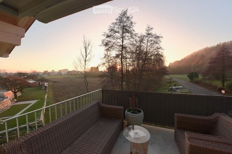 Grande appartamento mansardato con vista sul verde (14)