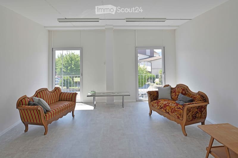Bright living room with two ornate sofas, a small table, and large windows with views of greenery.