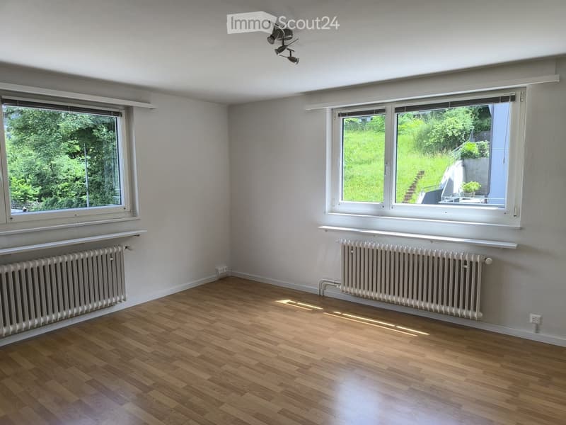 Empty room with wooden flooring, white walls, large windows, radiators, and a ceiling light fixture.