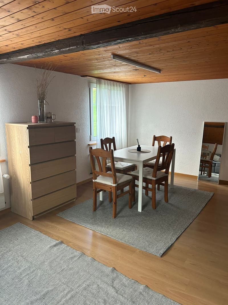 Appartamento a Necker/ Gem. Neckertal (2)